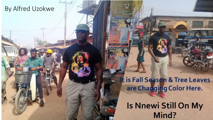 Alfred Uzokwe Sr. on the street of his native Nnewei