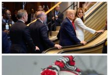 What Would Peter Obi Have Said If An Elevator Malfunctioned In Nigeria While President Tinubu Was Using It? A collage picture of President Trump and his wife, Melanie Trump and his Security stock on the elevator at the UN General Assembly Building and Mr. Peter Obi and done by Mr Reno Omokri