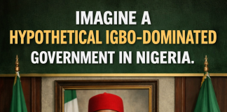 Envision Nigeria Under A Theoretical Igbo-led Administration Imagine an Igbo man as Nigerian President